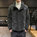 Jaqueta Primmor Osnabruque