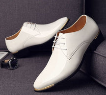 Chaussures Primmor Torino 