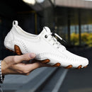 Chaussures Primmor Cosenza 